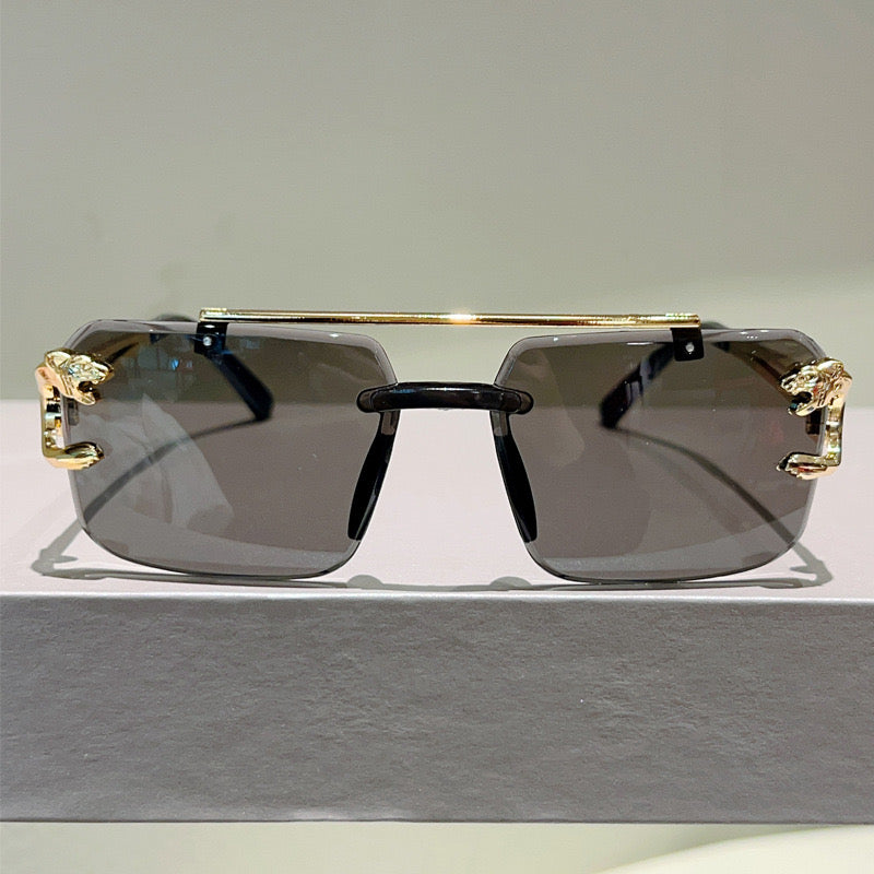 Scarred Lion Shades